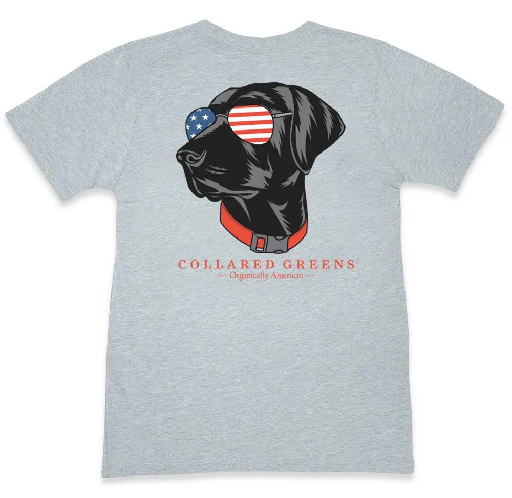 Aviator Lab: Short Sleeve T-Shirt - Gray